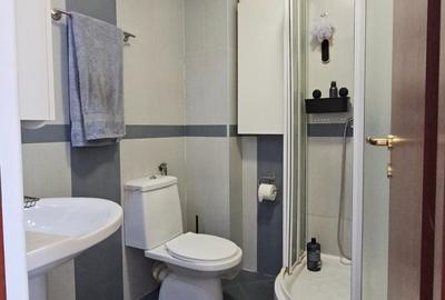 Apartament cu 3 camere decomandat, mobilat în Tei - 11