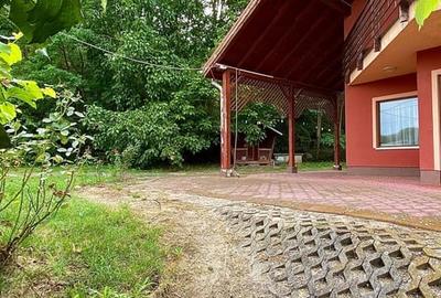 Casă cu 5 camere cu Teren 19900 Mp în Central - 10