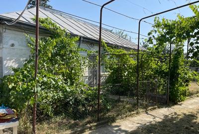 Casă individuală cu 3 camere cu Teren 1500 Mp în Moșești - 2