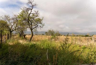 Casa batraneasca de vanzare - 3