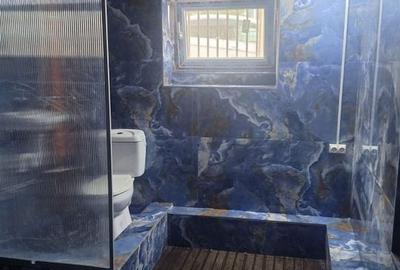 De Vanzare Casa 7 Camere Piata Operei - Plevnei - 31