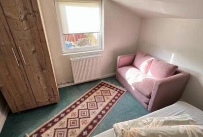 Cabana cu 4 dormitoare, foisor, ciubar, Statiunea Muntele Ba - 18