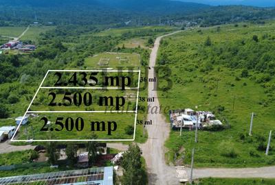 Teren intravilan curti constructii in Moinesti/Bacau - de vanzare - 1