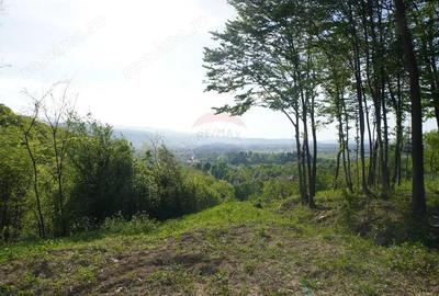Teren 15,000mp Sighetu Marmatiei / Strada Mocani?ei - 9