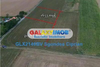 Teren de 1633 mp, în Feldioara - 1