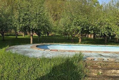 Casă cu 5 camere cu Teren 2763 Mp în Băița - 19