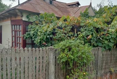 Vand casa la tara, complet utilata, doua locuinte in curte - 1