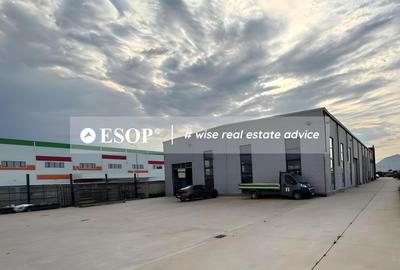 Depozit industrial, 1.950 mp, Teren 4.000 mp, Chitila, ID 15482 Depozit industrial, 1.950 mp, Teren 4.000 mp, Chitila, ID 15482 - 3