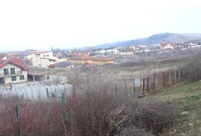 2 parcele de teren in Zavoi, str. Brandusei, 1440 mp, asfalt - 3