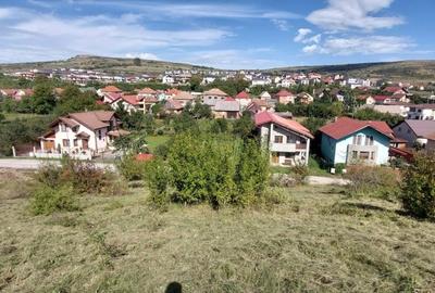 Teren intravilan 1214mp in Chinteni - zona centrala, strada Ion Creanga! - 4