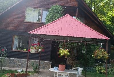 Izvoarele, Prahova - 4