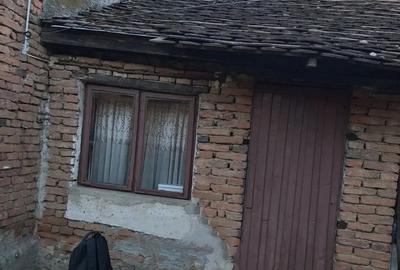 Se vinde in ?ibot Se vinde in ?ibot - 3