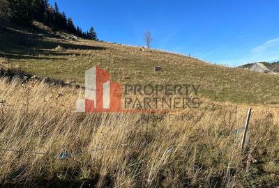 Teren Fundatica intravilan 4500 mp - 12