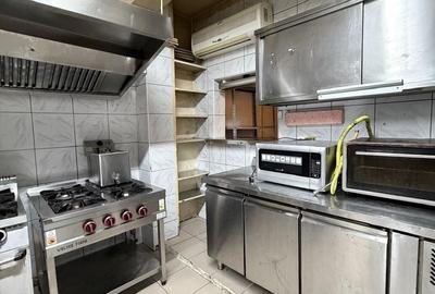 Zona Balcescu Maria Rosetti sp 310 mp P+E1+Terasa - 7