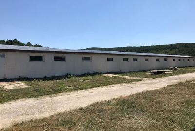 Spațiu comercial, de 5,000 mp, în Dragu - 1