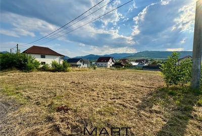 Teren intravilan cu autorizatie de constructie casa Talmaciu - 2