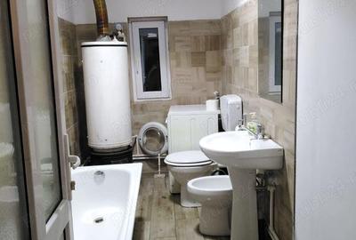 Inchiriez vila, 50 ari de teren, grajd, pastravarie, gradina cu pomi fructiferi - 2