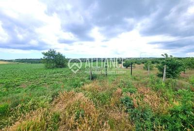 Teren agricol extravilan de 4000 mp, în Central - 5