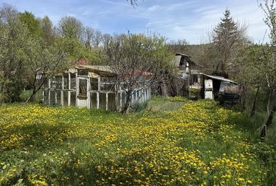 Casă individuală cu 5 camere cu Teren 3056 Mp în Sud - 7