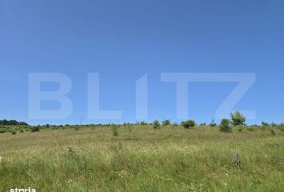 Spațiu comercial, în Sălicea - 4