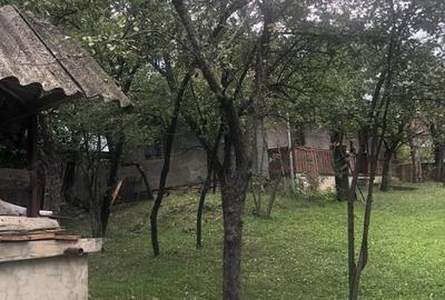 Casă cu 2 camere în Mărtănuș - 3