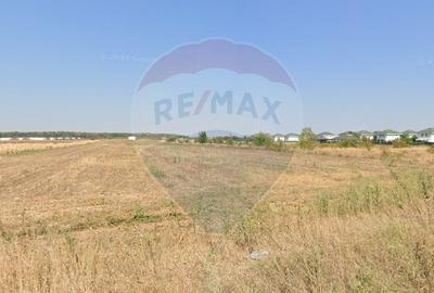 Teren lotizat 4,650mp Sabareni / Strada Cereanca - 5