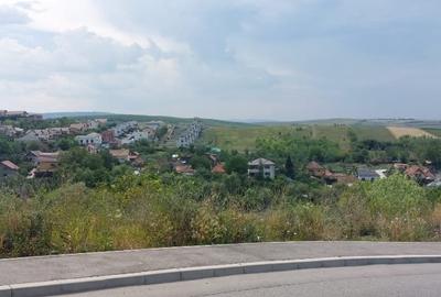 VANZARE DOUA TERENURI INTRAVILANE ALATURATE IN DEZMIR - 2