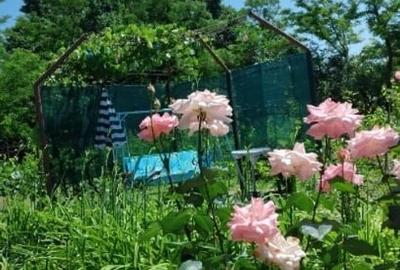 Casă individuală cu 2 camere cu Teren 1400 Mp în Ștefănești - 16