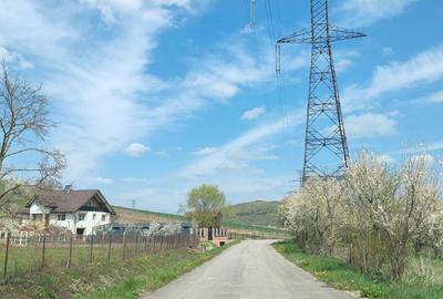 Spațiu comercial, în Gădălin - 6