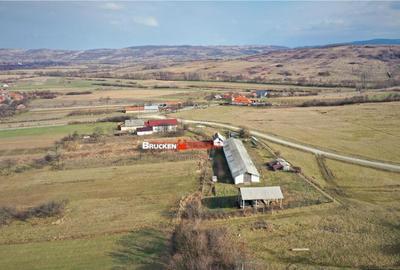 MICRO-FERMA CASA IN VOIVOZI - BIHOR - 22