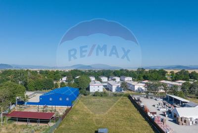 Teren Industrial, 3300 mp, / DJ 112D, Carpinis - 1