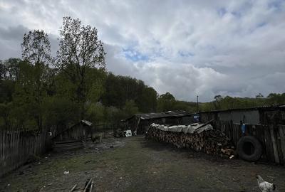 Casă cu 2 camere în Licurici - 8