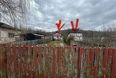 Casă cu 2 camere în Cocu - 3