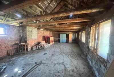 Valisoara, Casa la curte si Teren 3040 Mp, 10 minute de Caransebes - 10