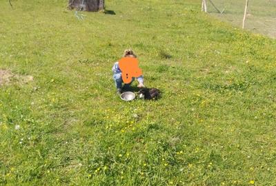 Casa cu teren 1900mp Izbuc - 3