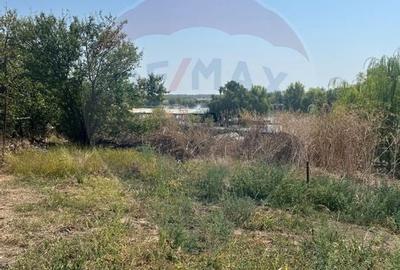 Teren de vanzare / 2,500 mp pe Malul Lacului Tancabesti /Ilfov - 11