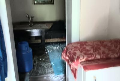 Brebu Megiesesc, casa + teren - 10