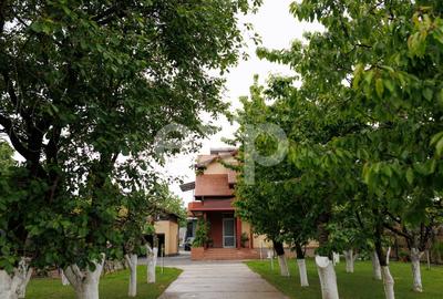 Casă individuală cu 6 camere cu Canalizare în Bascov - 1