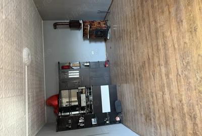 Vand casa batraneasca renovata - 10