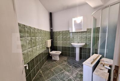 Vila, cazare muncitori, 11-15 camere, 600 mp, zona Mehala-Ti - 4