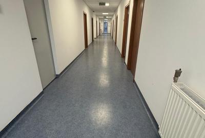 Spațiu industrial, de 1,700 mp, în Brătuleni - 5