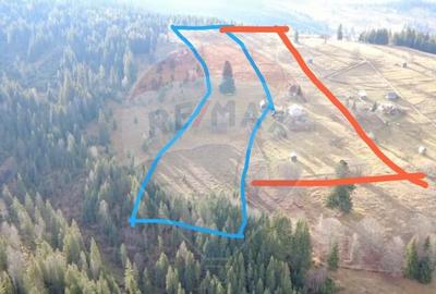 Teren de 26232 mp, în Dorna-Arini - 6