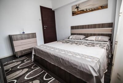 Apartament cu 2 camere decomandat, mobilat în Brotăcei - 6