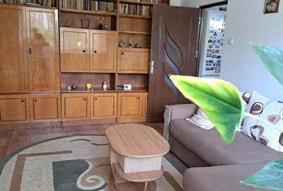 Apartament cu 2 camere semidecomandat în Luncă - 10