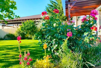 Casă premium de închiriat – Parneava | Ideal expats / corporate - 1