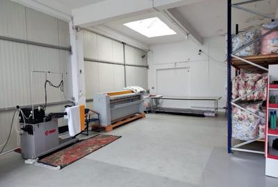 Spațiu industrial, de 545 mp, în Craiovița Nouă - 2