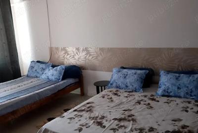 Inchiriez apartament cu o camera, in regim hotelier, Braila, Jud. Braila - 9
