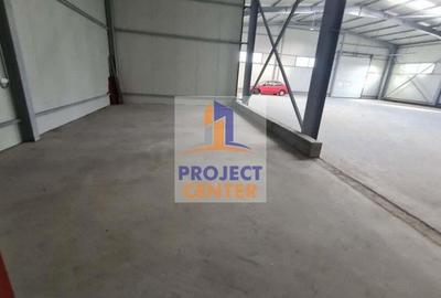 Hala industriala, Pite?ti, str. Depozitelor, suprafa?a = 590 mp Hala industriala, Pite?ti, str. Depozitelor, suprafa?a = 590 mp - 11