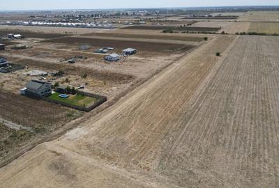 Teren Intravilan Com Berceni | utilitati: curent - gaz | #MG14E - 5