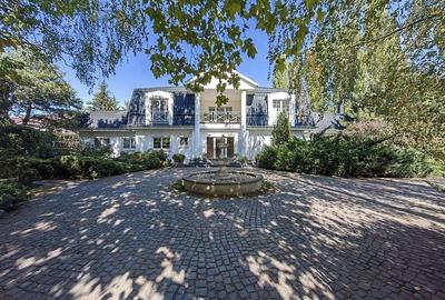 Vilă individuala în zona Iancu Nicolae - 7